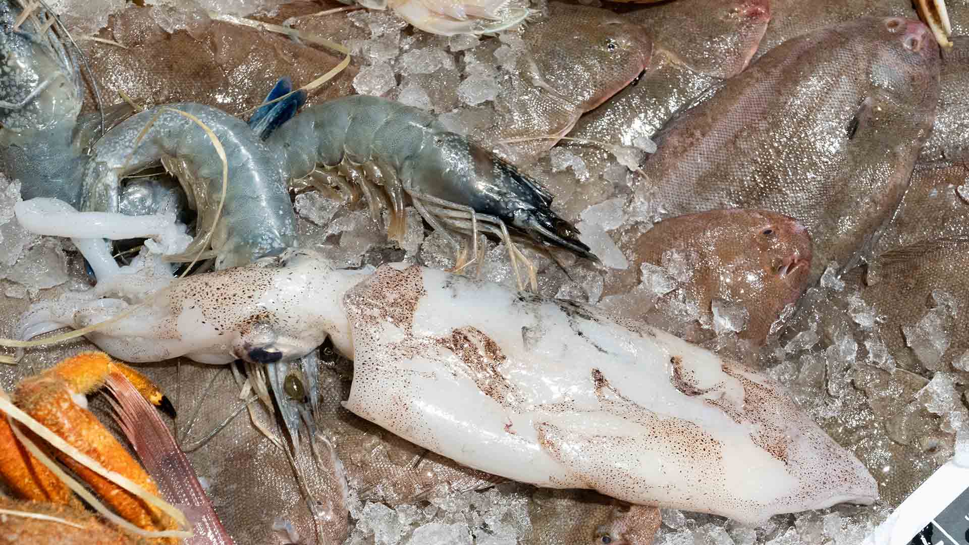 Il Pesce Di Stagione Di Febbraio La Bottega Del Pesce Shop Risto